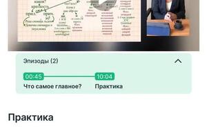 Пример моего урока 5 на курсе Орфография. Скрин из личного кабинета моего ученика. Скрин из мобильного приложения. — Стружко Инесса Викторовна