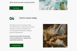 Многостраничный сайт для приюта кроликов.; Адрес сайта: helpbunny.ru; Цель: создать сайт приюта кроликов и отобразить... — Сухопарова Александра Сергеевна