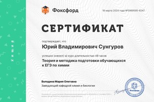 Диплом / сертификат №4 — Сунгуров Юрий Владимирович