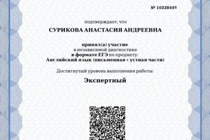 Диплом / сертификат №2 — Сурикова Анастасия Андреевна