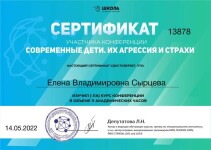 Диплом / сертификат №28 — Сырцева Елена Владимировна