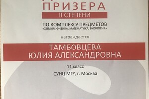 Диплом призера II степени по комплексу предметов (химия, физика, математика, биология) VII Всероссийского... — Тамбовцева Юлия Александровна