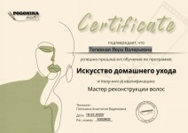 Диплом / сертификат №4 — Телевная Вера Валерьевна