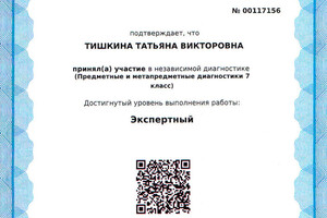 Свидетельство об участии в независимой диагностике педагога — Тишкина Татьяна Викторовна