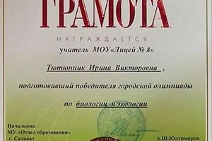 Диплом / сертификат №108 — Тютюнник Ирина Викторовна