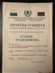 Диплом / сертификат №8 — Трапезников Сергей Ридванович