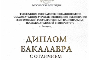 Диплом / сертификат №3 — Требтау Дарья Сергеевна