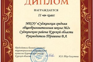 Диплом / сертификат №9 — Тришина Виктория Александровна