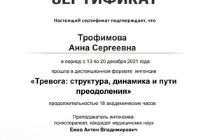 Диплом / сертификат №6 — Трофимова Анна Сергеевна