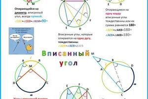 Опорные нейро-схемы по математике — Ушакова Надежда Викторовна