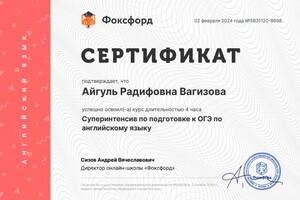 Диплом / сертификат №2 — Вагизова Айгуль Радифовна