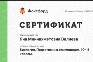 Диплом / сертификат №2 — Валиева Яна Миннахметовна