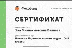 Диплом / сертификат №3 — Валиева Яна Миннахметовна