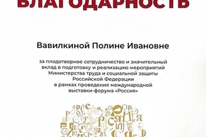 Диплом / сертификат №2 — Вавилкина Полина Ивановна