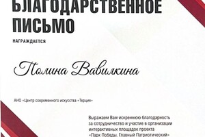 Диплом / сертификат №3 — Вавилкина Полина Ивановна