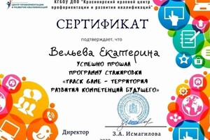 Диплом / сертификат №17 — Вельева Екатерина Владимировна