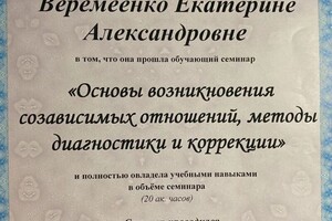 Диплом / сертификат №8 — Веремеенко Екатерина Александровна