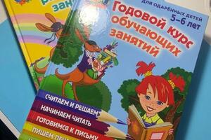 Работаю по Ломоносовской программе. В одном пособии собрано абсолютно все- обучение счету, изучение букв , овладение... — Ветошко Наталья Викторовна