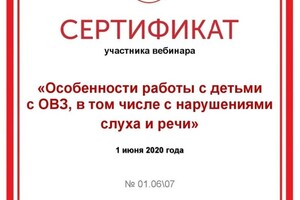 Диплом / сертификат №701 — Виленская Ольга Валерьевна