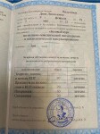 Диплом / сертификат №19 — Вилугина Дина Леонидовна