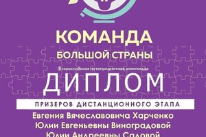 Диплом / сертификат №23 — Виноградова Юлия Евгеньевна