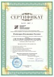 Диплом / сертификат №15 — Владимиров Константин Олегович