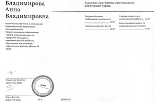 Диплом / сертификат №3 — Владимирова Анна Владимировна