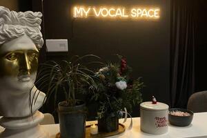 Студия My Vocal Space — Власова Карина Александровна