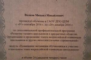 Курсы по подготовке к олимпиадам — Волков Михаил Михайлович