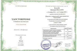 Диплом / сертификат №3 — Вольнова Виктория Николаевна