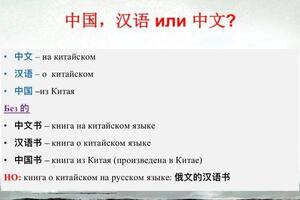 Каждое занятие сопровождается презентацией. — Волохина Виталия Николаевна