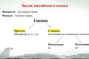 Каждое занятие сопровождается презентацией. — Волохина Виталия Николаевна