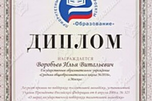 Диплом лауреата премии по поддержке талантливой молодежи — Воробьев Илья Витальевич