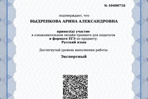 Диплом / сертификат №5 — Выдренкова Арина Александровна