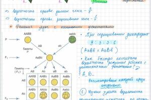 Конспект занятия — Щетинина Екатерина Витальевна