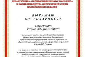 Диплом / сертификат №77 — Загорулько Елена Владимировна