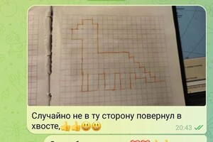 Переписка с учеником. Фото из отзыва клиента. — Заикина Анна Сергеевна