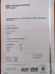 CAE. Certificate in Advanced English — Залевская Елена Викторовна