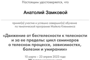 Диплом / сертификат №2 — Замковой Анатолий Александрович