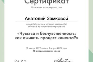 Диплом / сертификат №3 — Замковой Анатолий Александрович