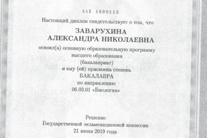 Диплом / сертификат №3 — Заварухина Александра Николаевна