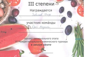 Диплом / сертификат №13 — Завьялов Игорь Артемович