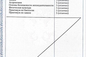 Диплом / сертификат №2 — Зайцева Наталья Сергеевна