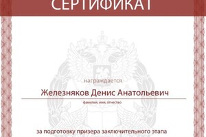 Диплом / сертификат №10 — Железняков Денис Анатольевич