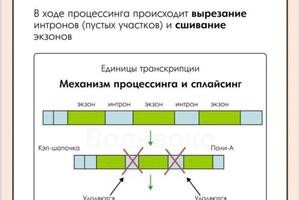 Портфолио №7 — Злобина Ульяна Павловна