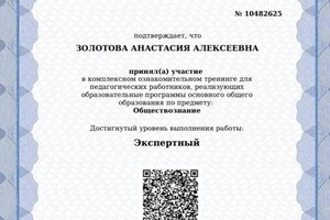 Диплом / сертификат №6 — Золотова Анастасия Алексеевна