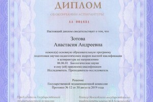 Диплом / сертификат №3 — Зотова Анастасия Андреевна