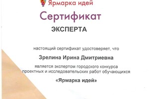 Сертификат Эксперта городского конкурса \