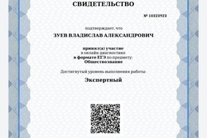 Диплом / сертификат №29 — Зуев Владислав Александрович