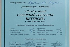 Абросимова Мария Владимировна — Диплом / сертификат №14